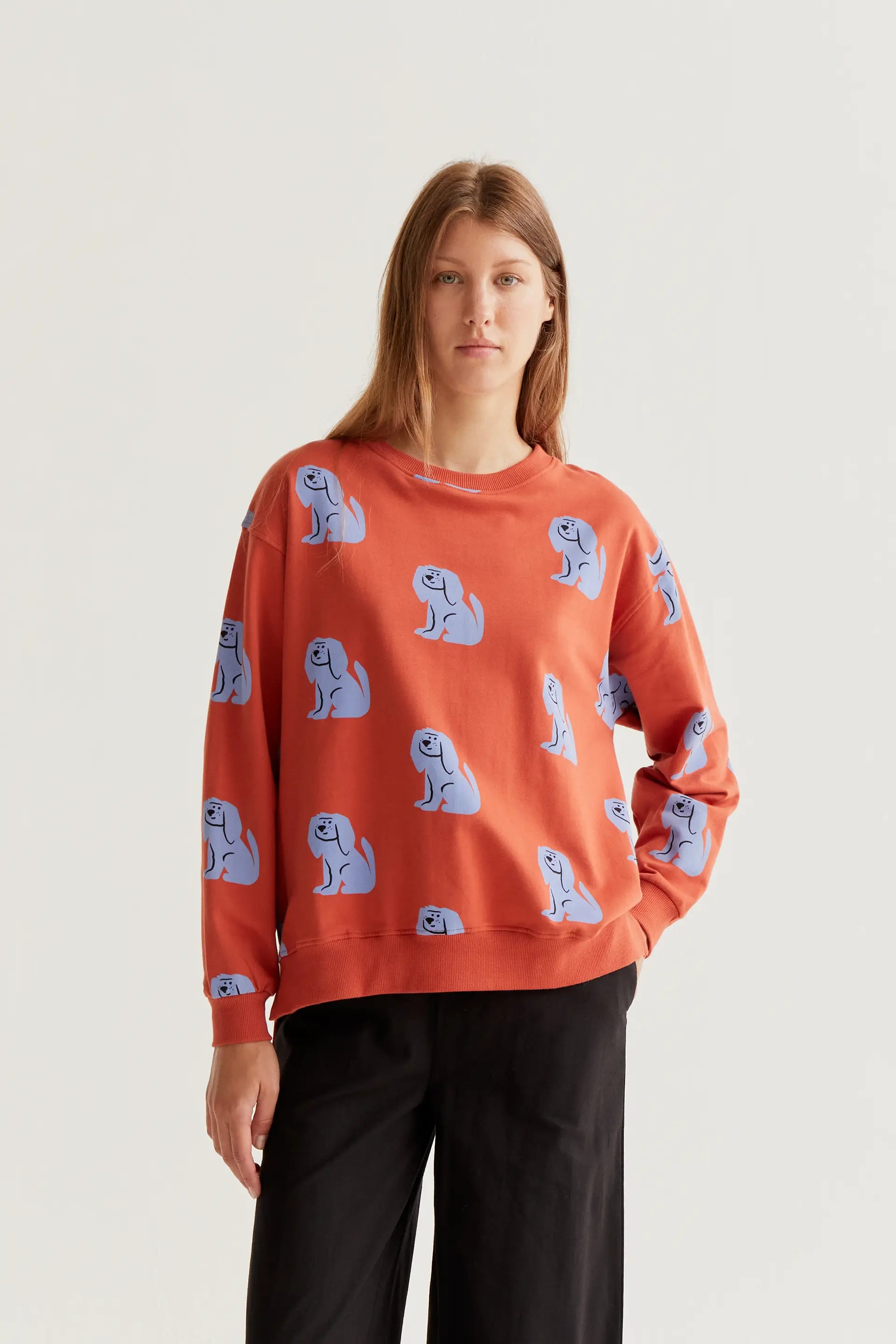 Sudadera con estampado Brown Dog
